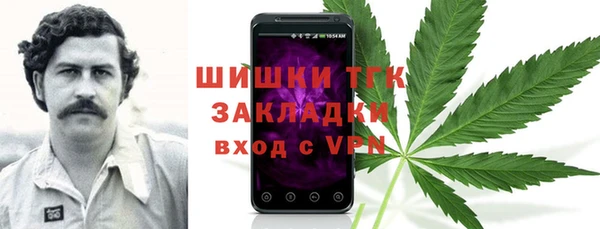 гидра Горнозаводск