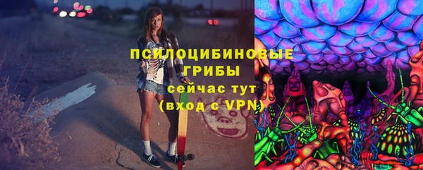 гидра Горнозаводск