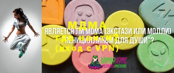 гидра Горнозаводск