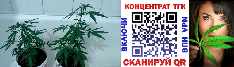 Дистиллят ТГК концентрат  Мезень 